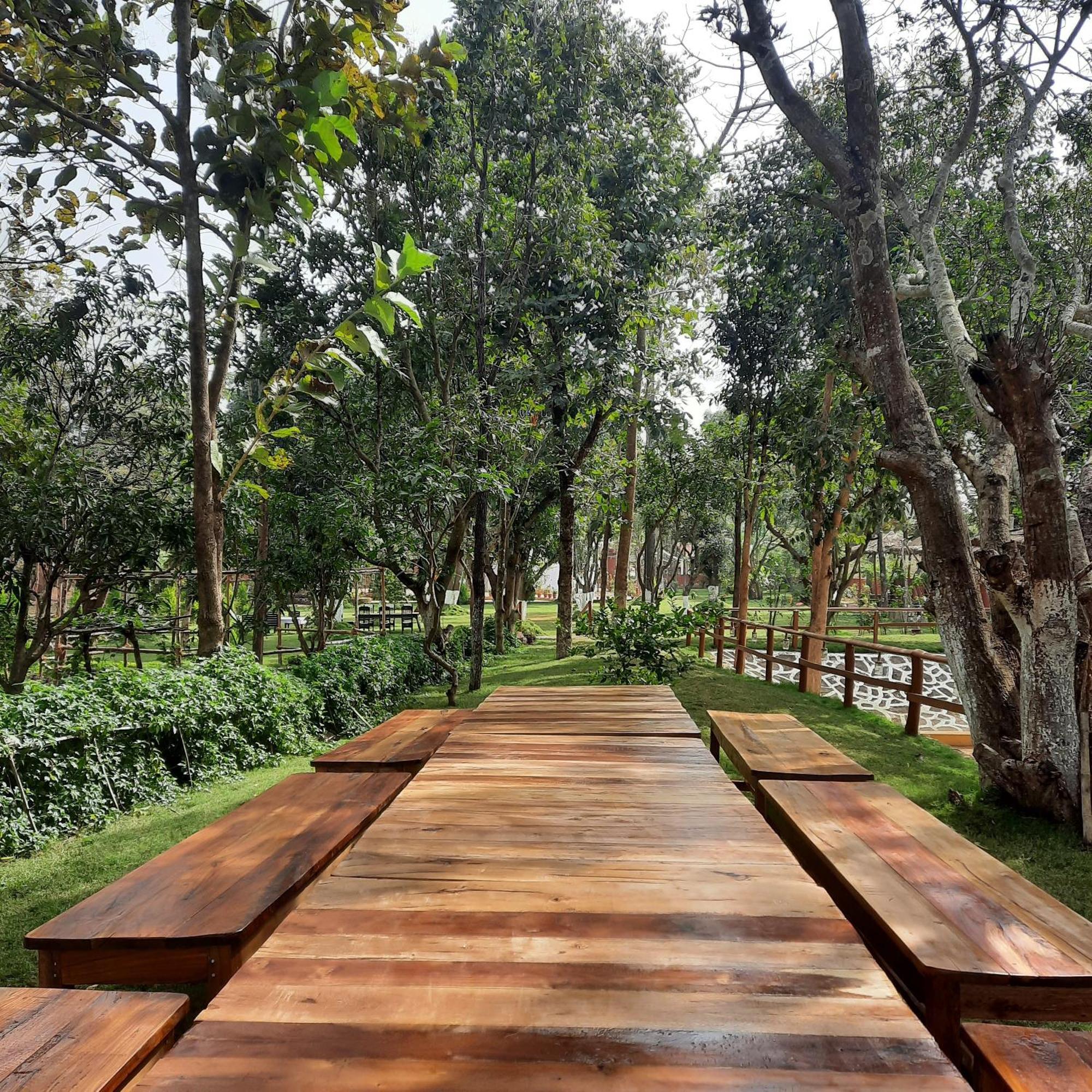 Bastar Greens Eco Stays Jagdalpur Exteriér fotografie